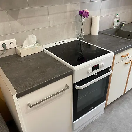 Centre Proche Thermes Daire La Bourboule