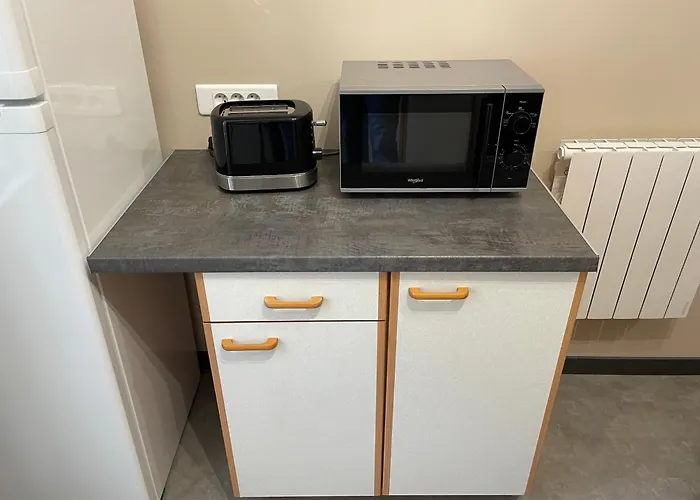 Апартаменты Centre Proche Thermes Ла-Бурбуль