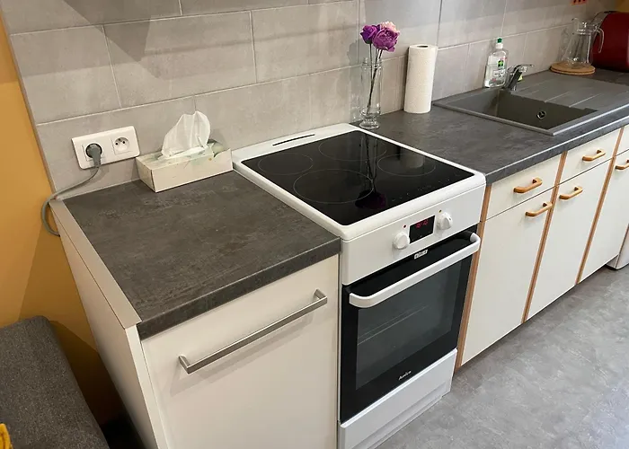 Centre Proche Thermes Апартаменты Ла-Бурбуль